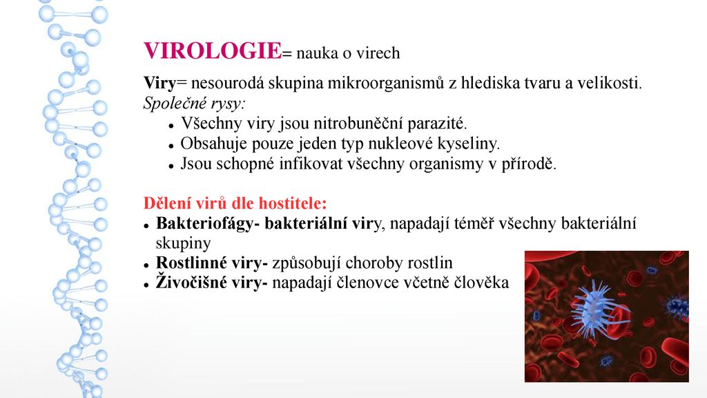 Mikrobiologie epidemiologie imunologie a hygiena část 1 ppt stáhnout